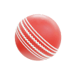 Cricket Betting category icon